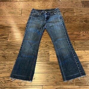 7 For All Mankind Dojo Size 29 Please Read